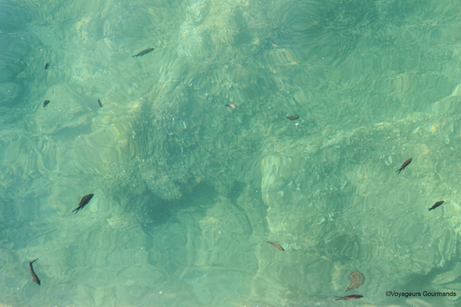 visiter budva montenegro 4