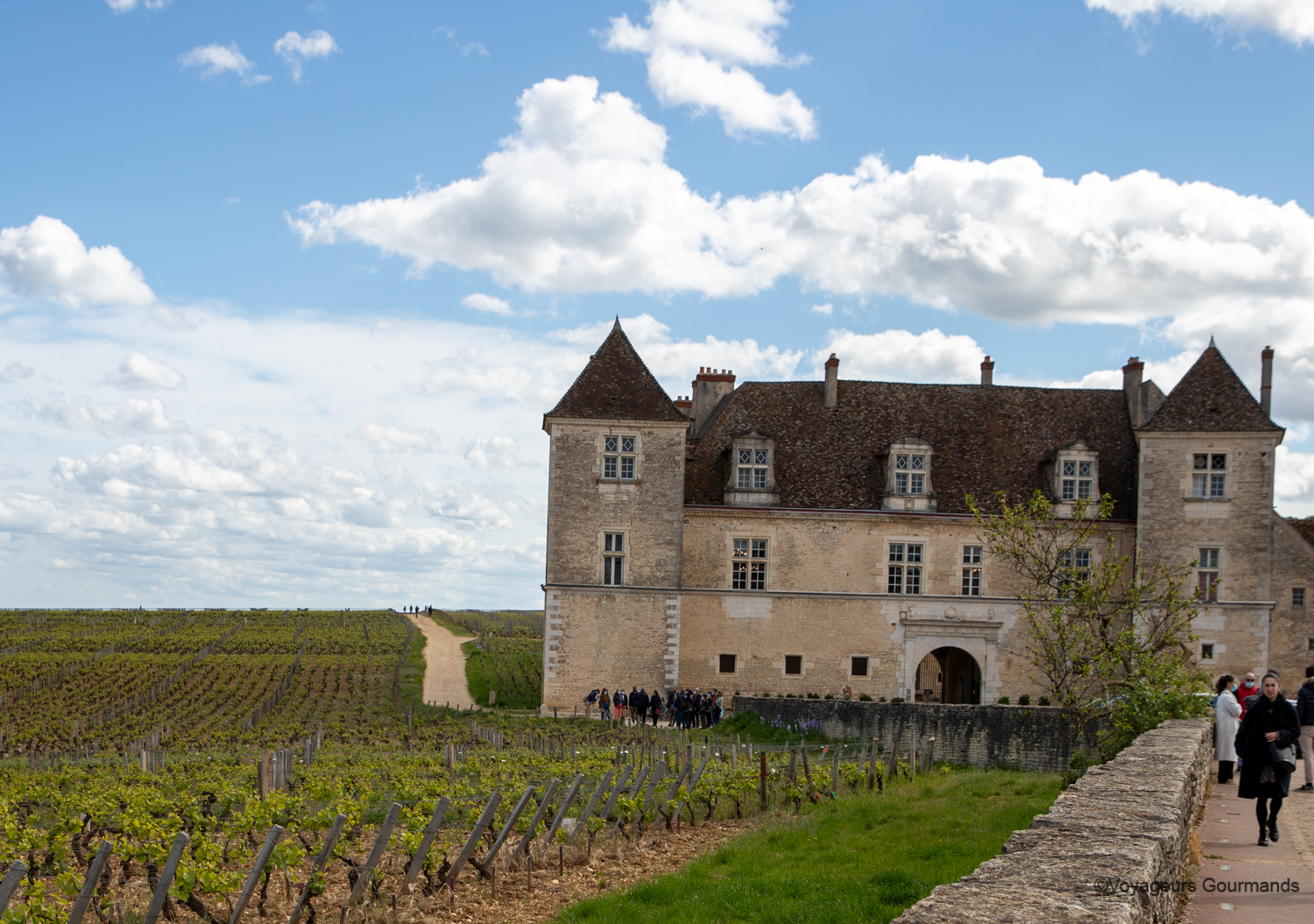 visiter dijon 18
