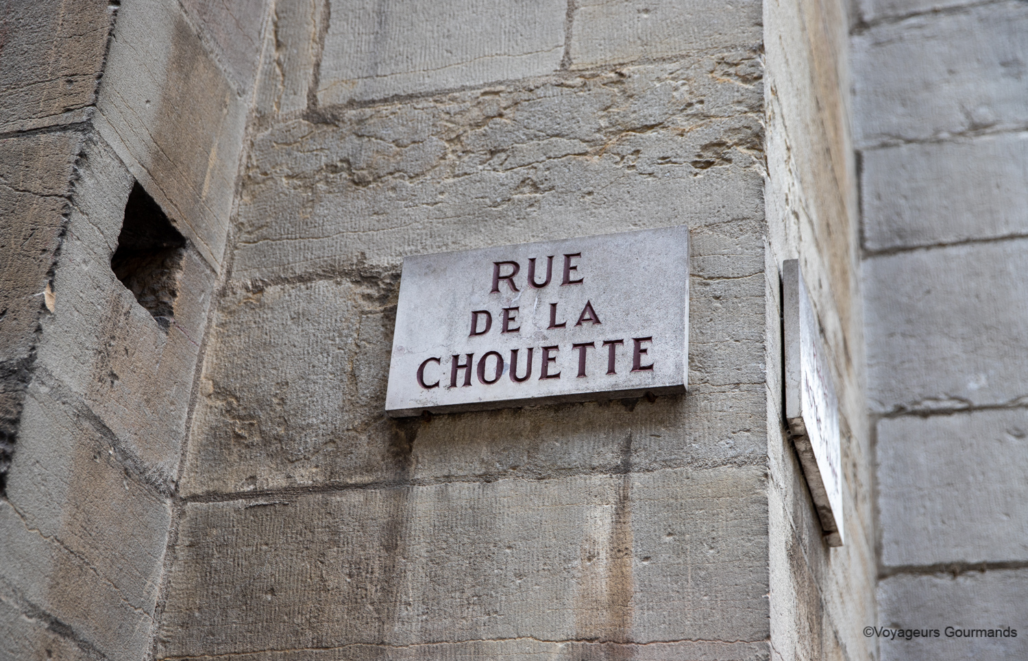 visiter dijon chouette 1