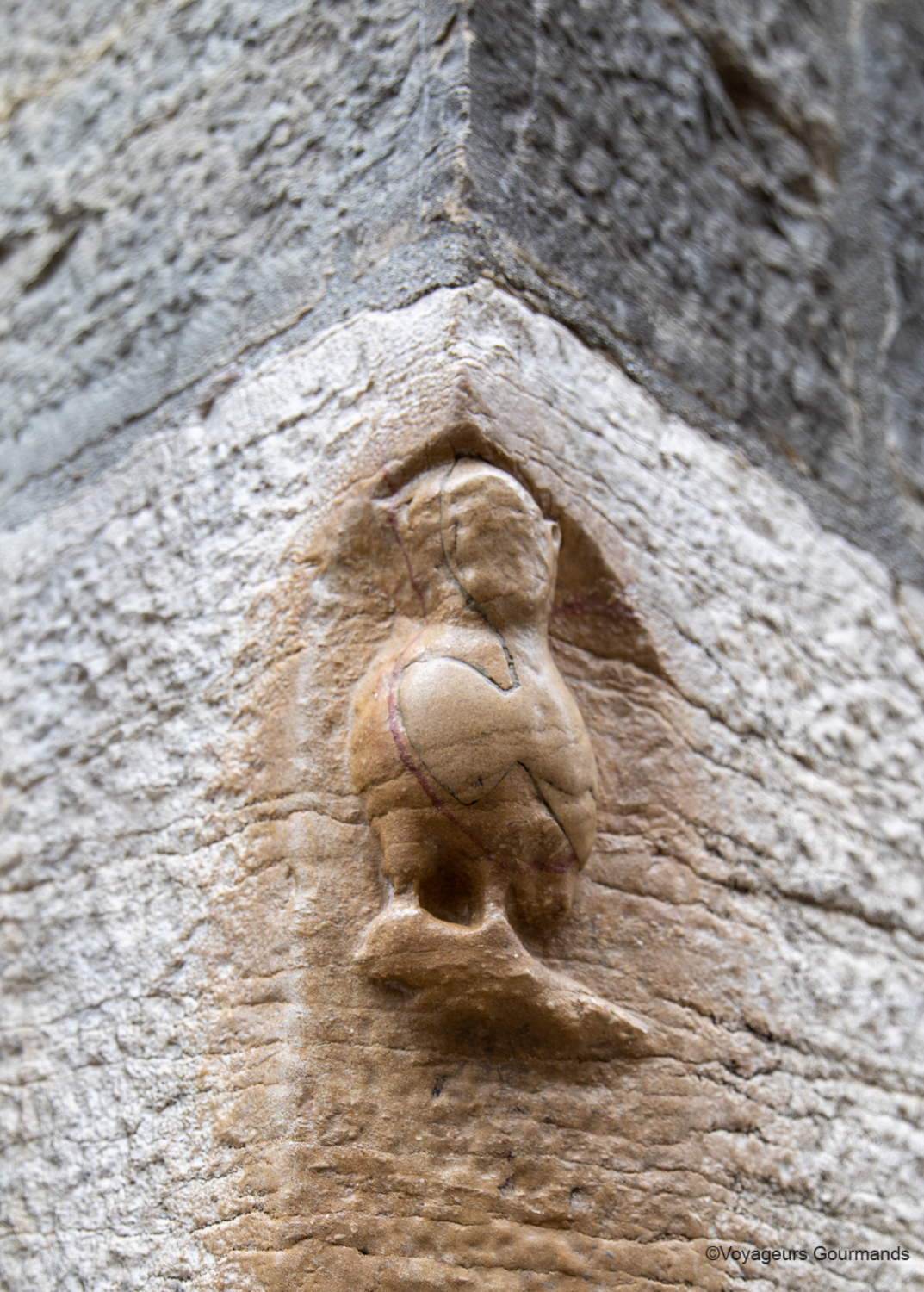 visiter dijon chouette 2