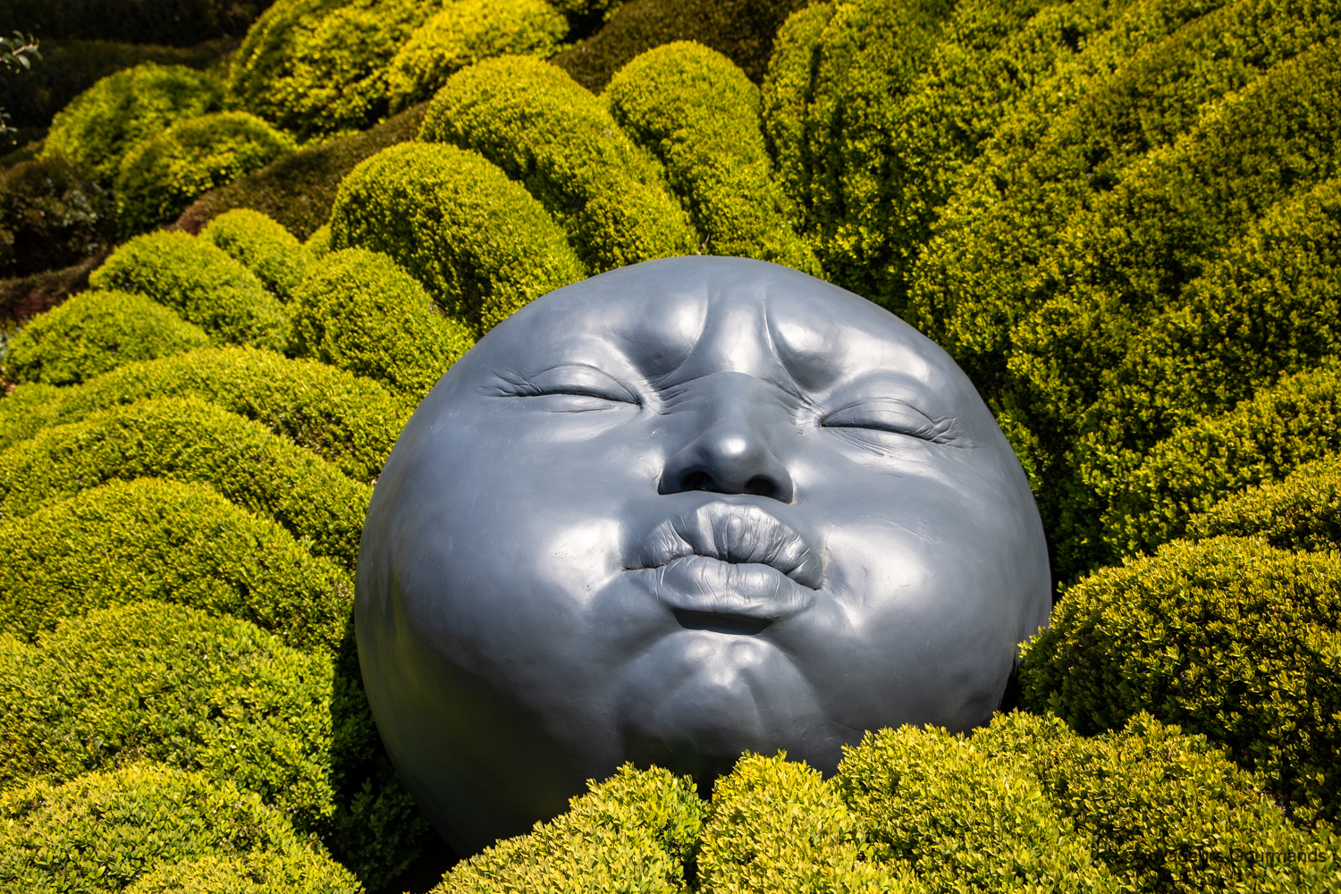 visiter etretat jardins 3