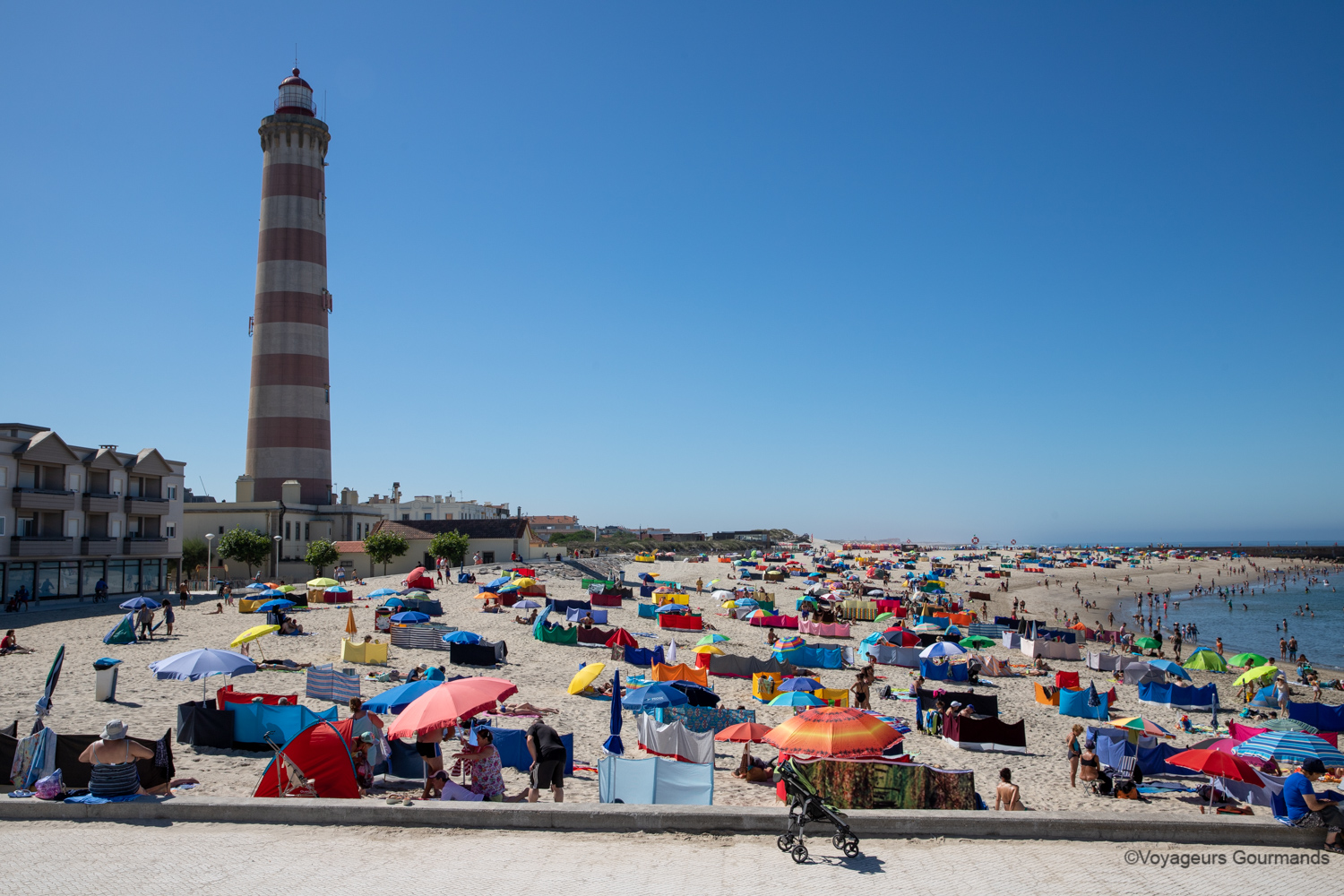 aveiro costa nova 10