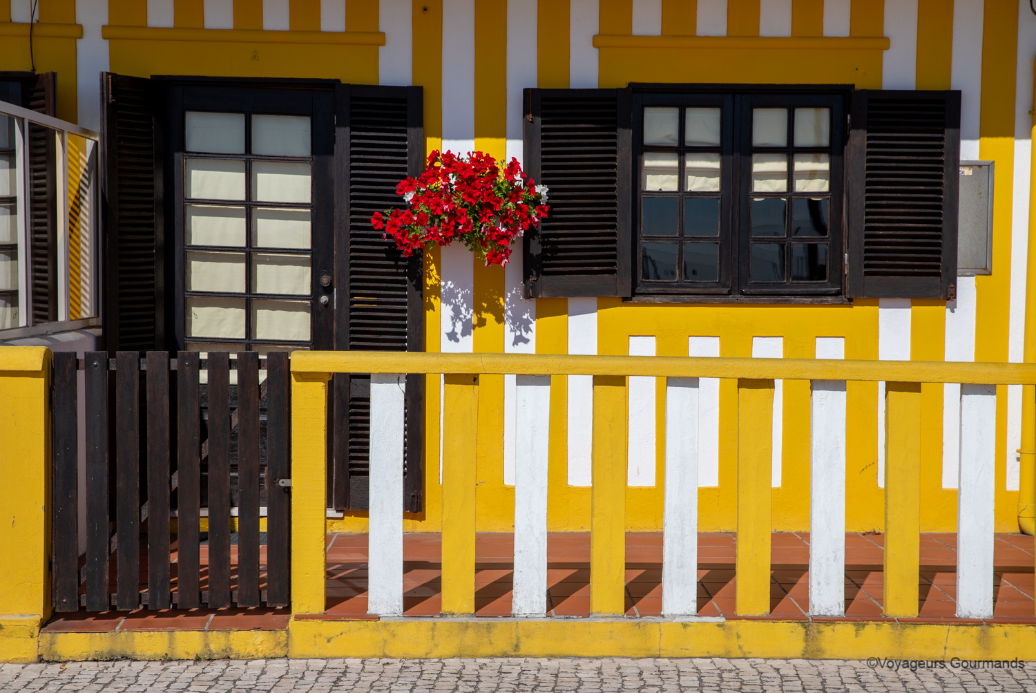 aveiro costa nova 8