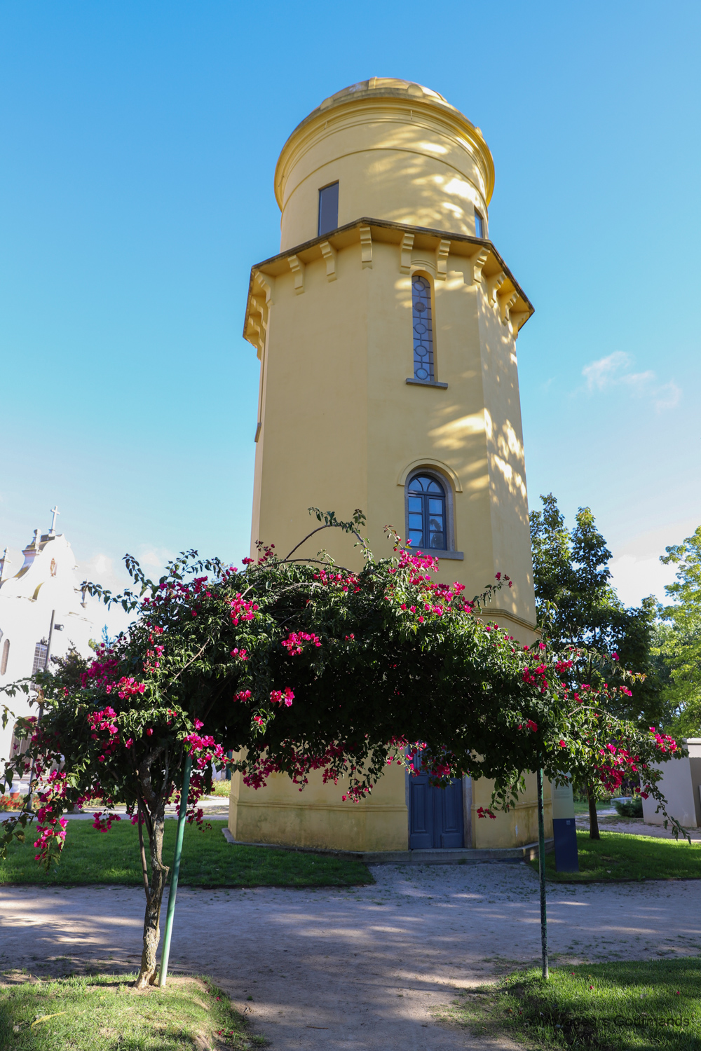 visiter aveiro 6