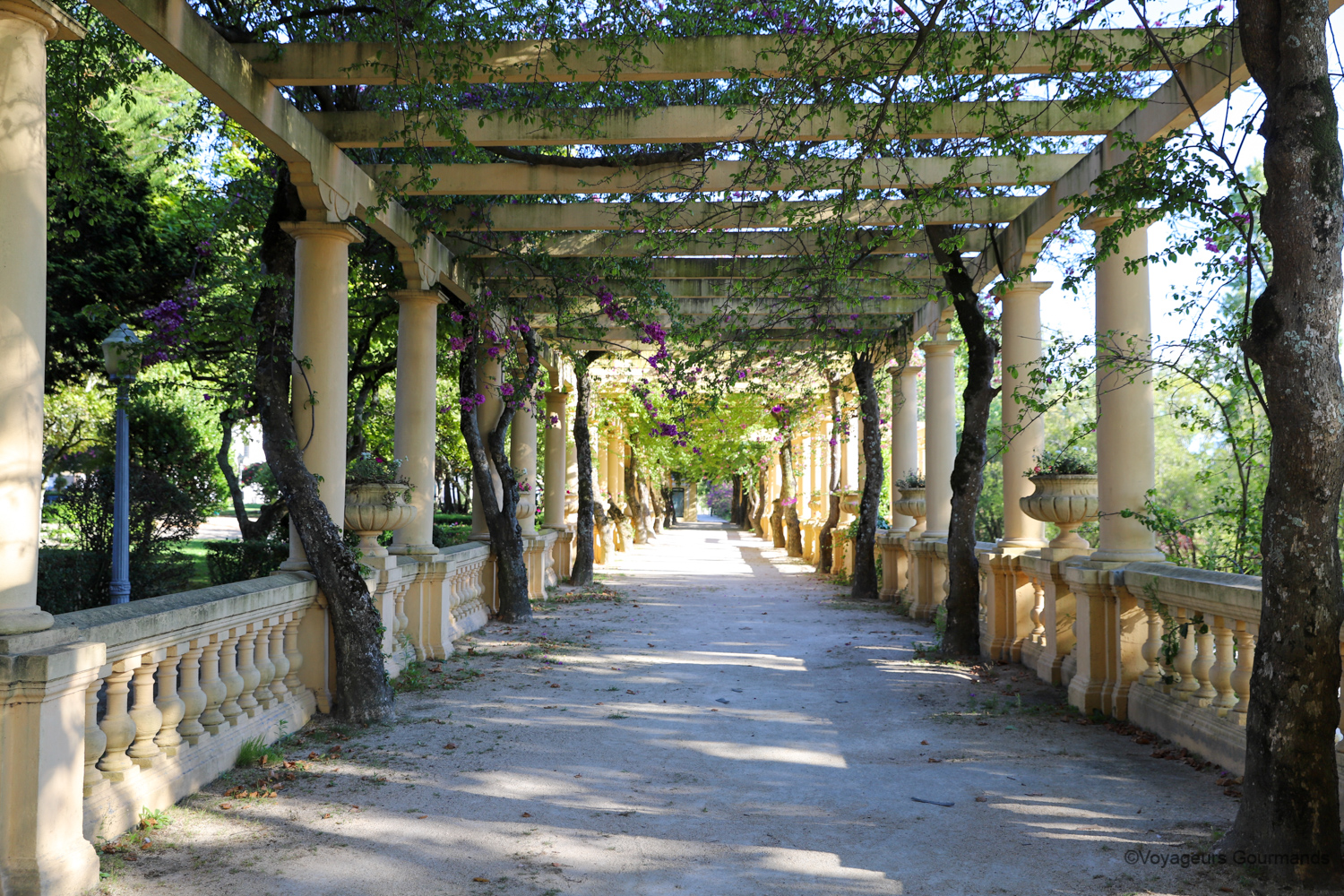 visiter aveiro 7