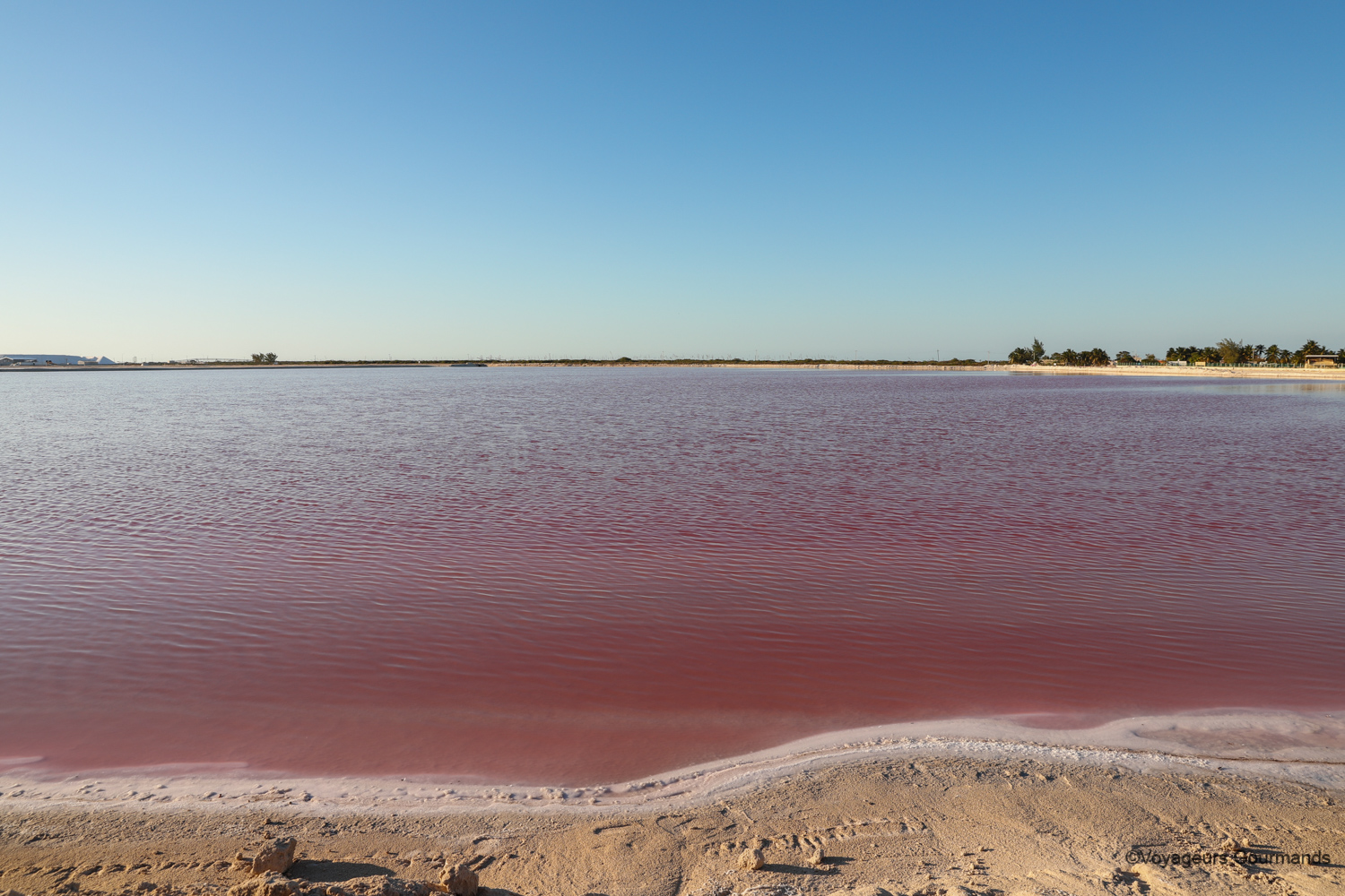 las coloradas et rio lagartos 1