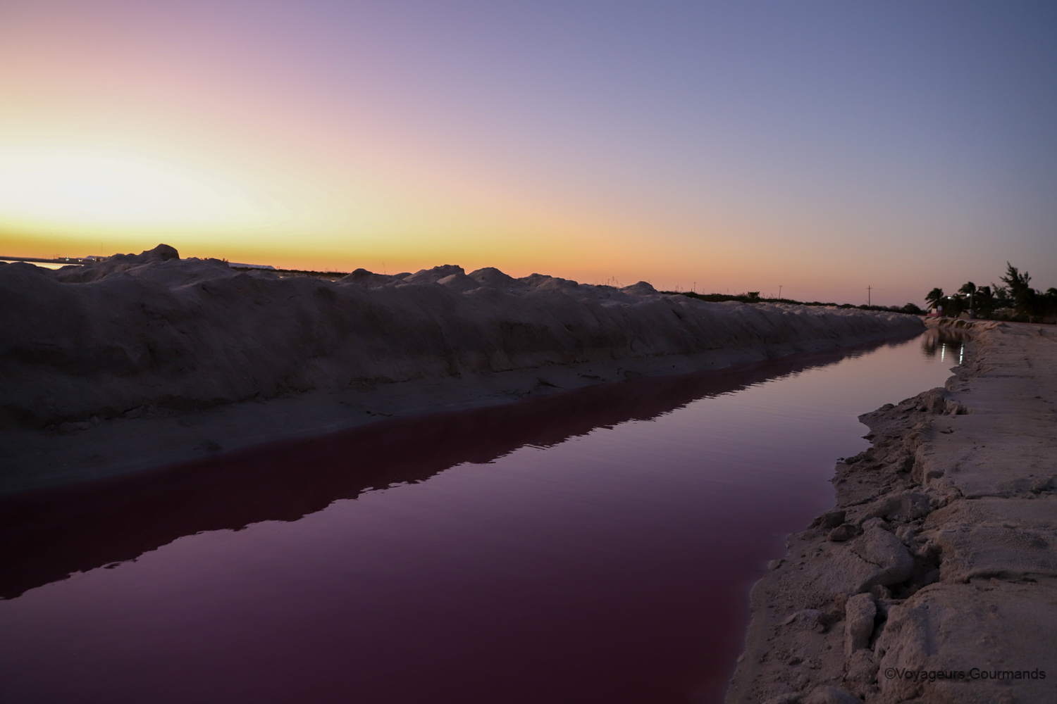las coloradas et rio lagartos 10