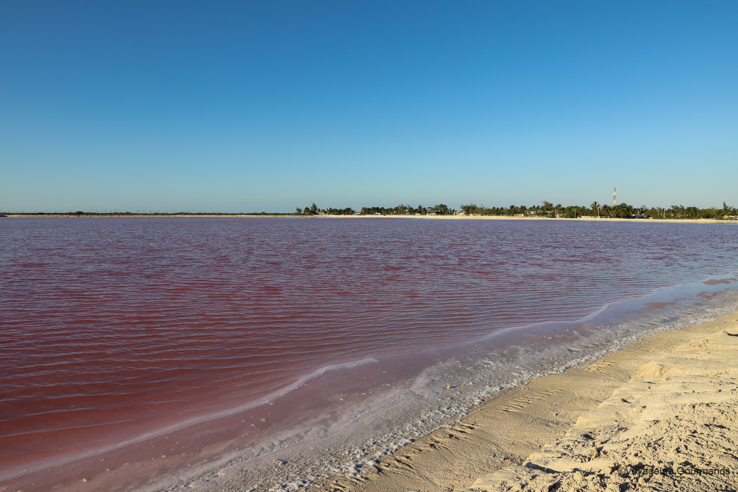 las coloradas et rio lagartos 2