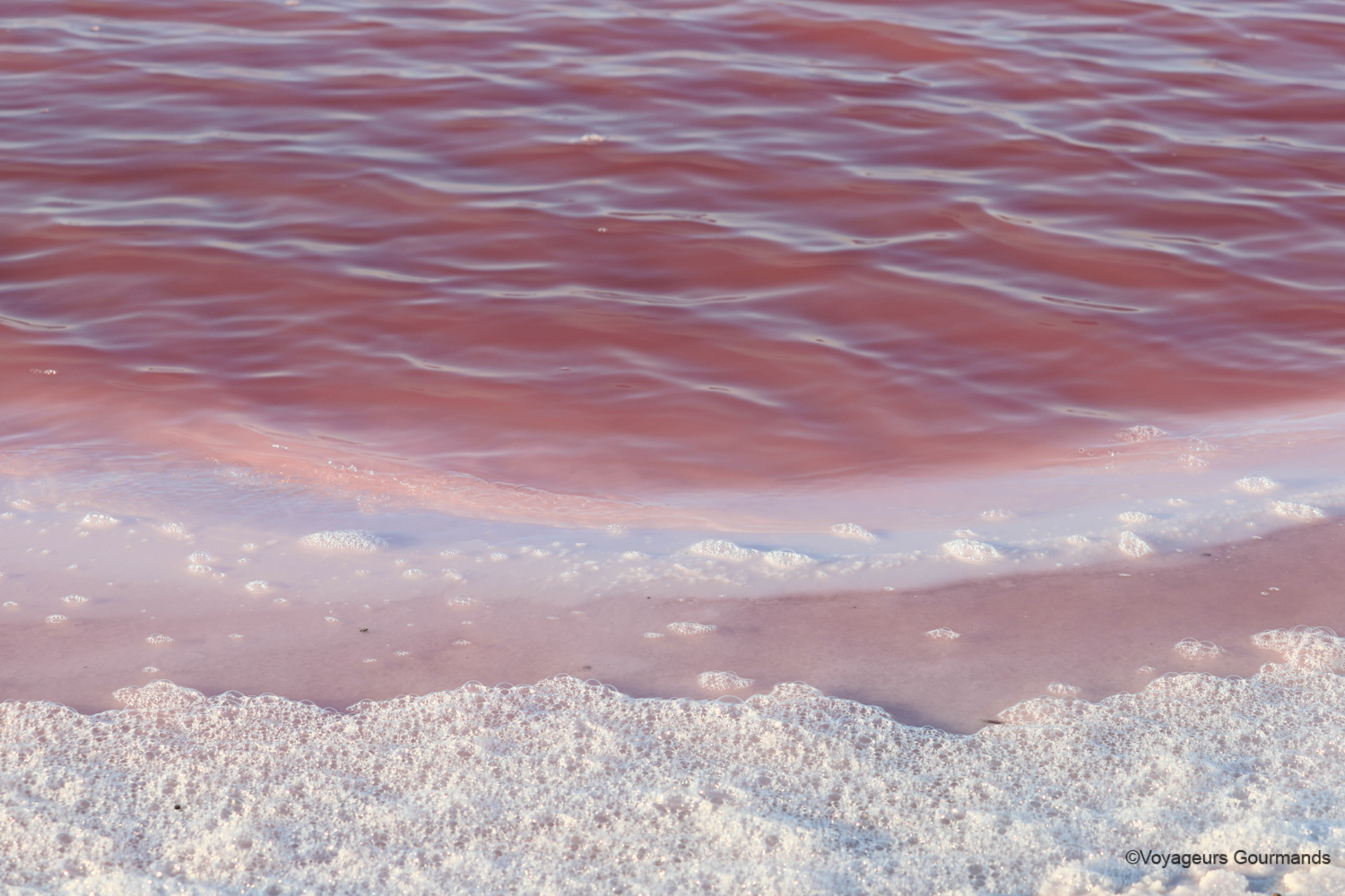 las coloradas et rio lagartos 3