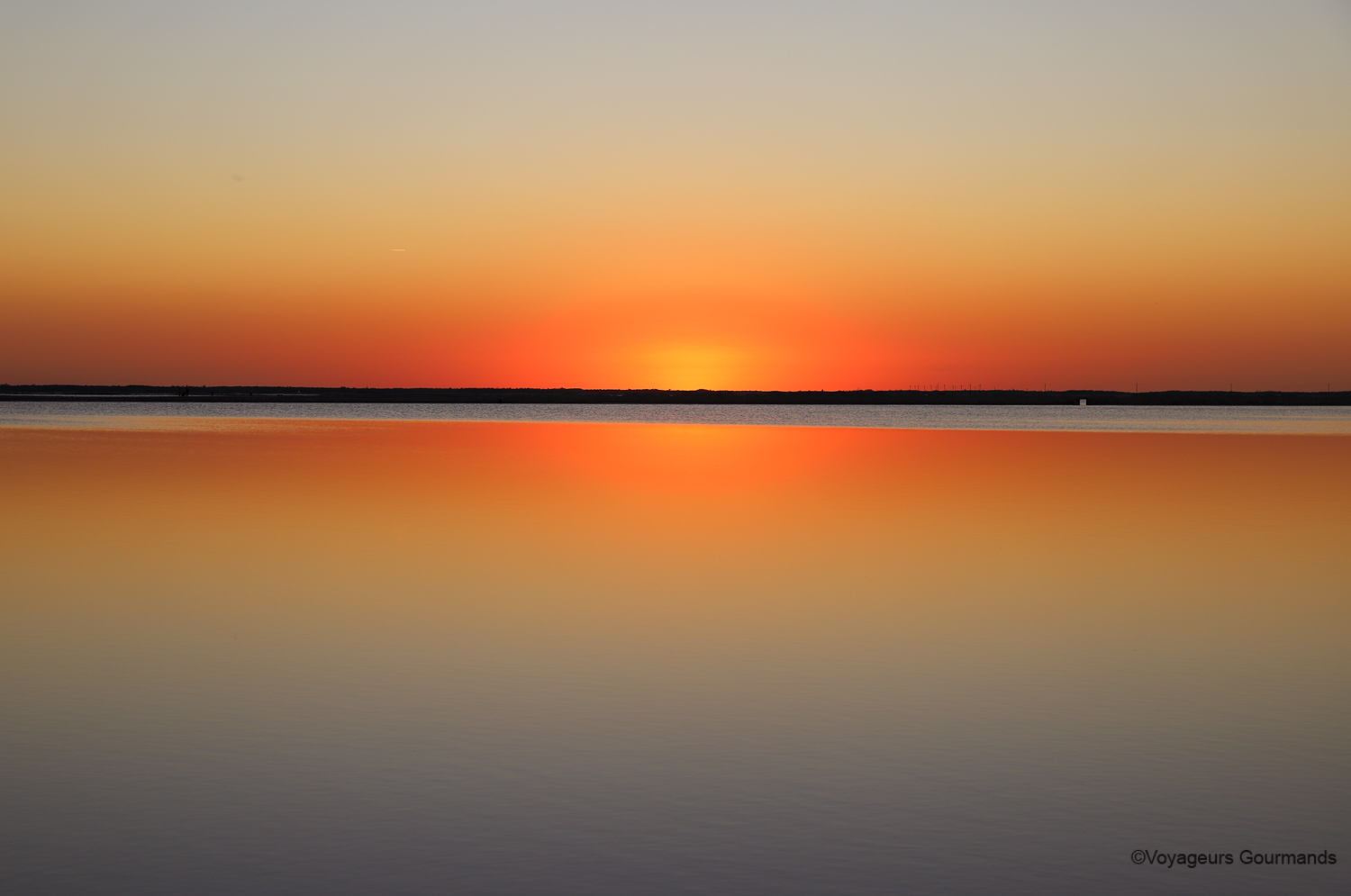 las coloradas et rio lagartos 7