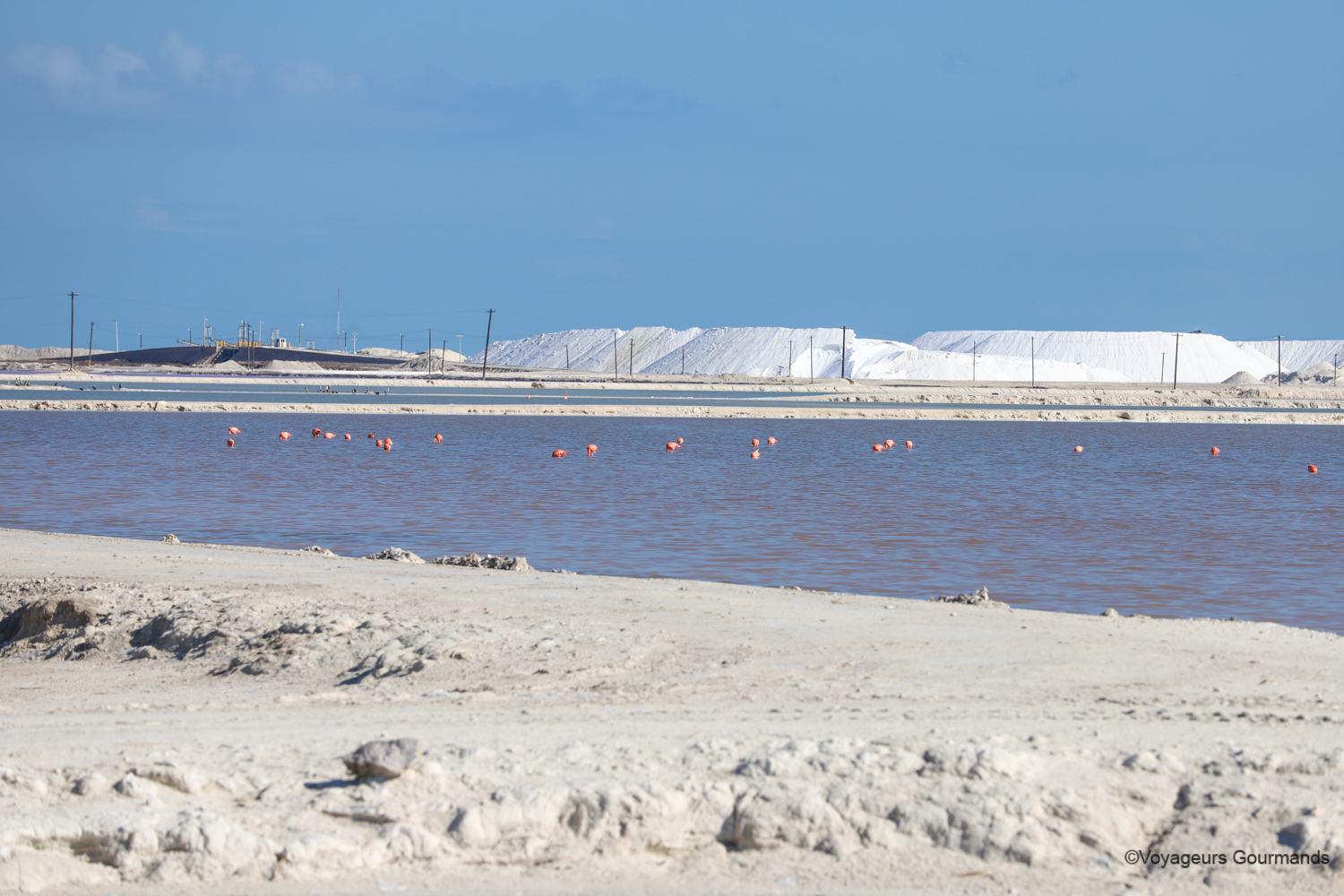 rio lagartos et las coloradas
