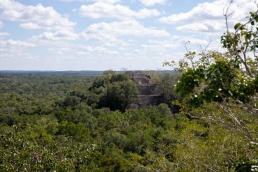 visiter calakmul