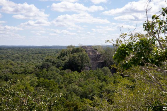 visiter calakmul