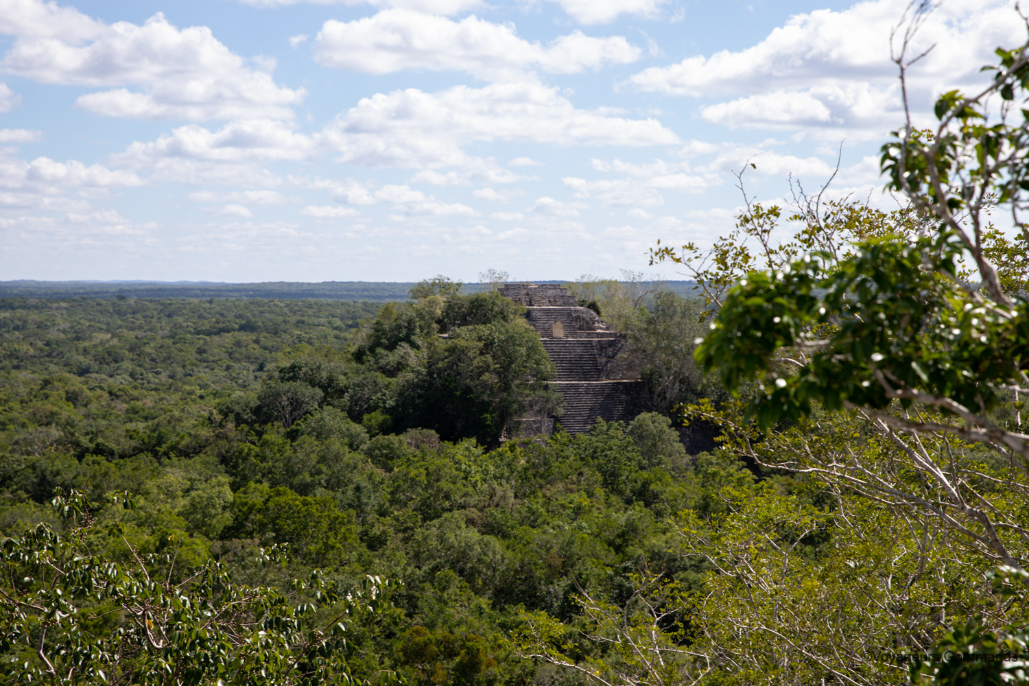 visiter calakmul 13