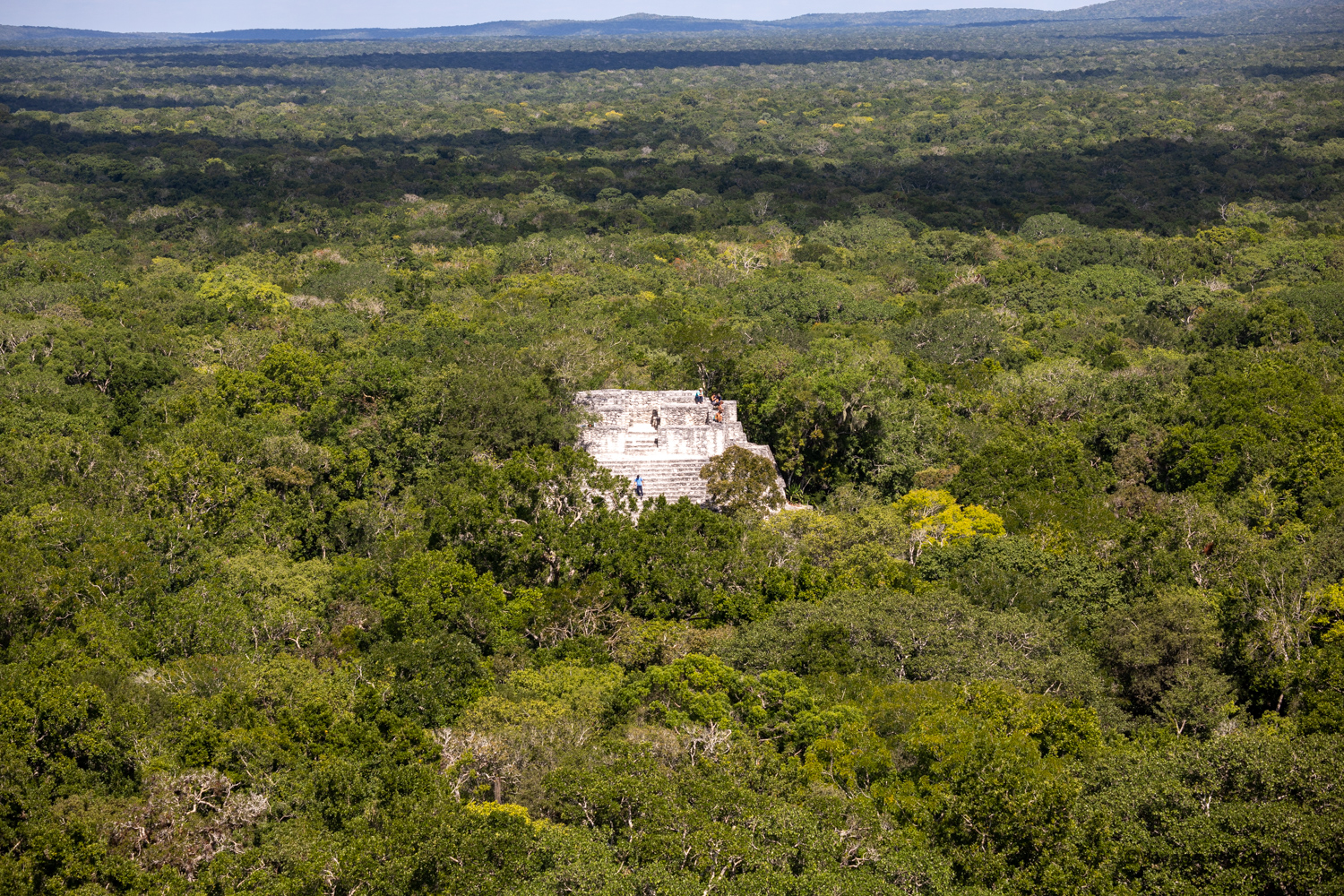 visiter calakmul