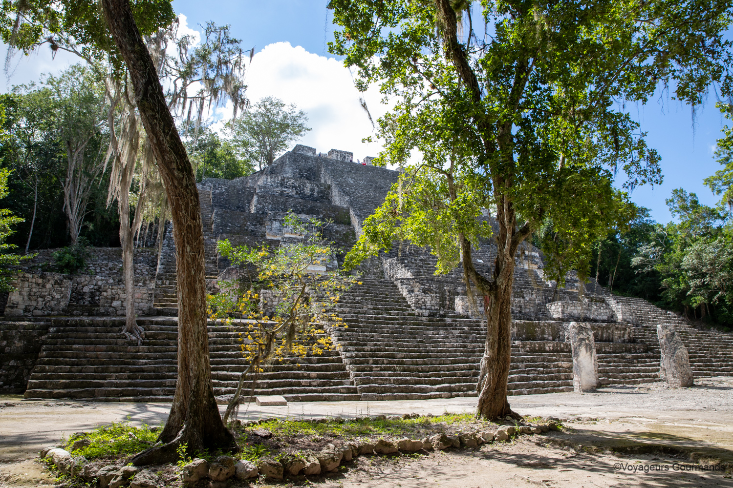 visiter calakmul 15