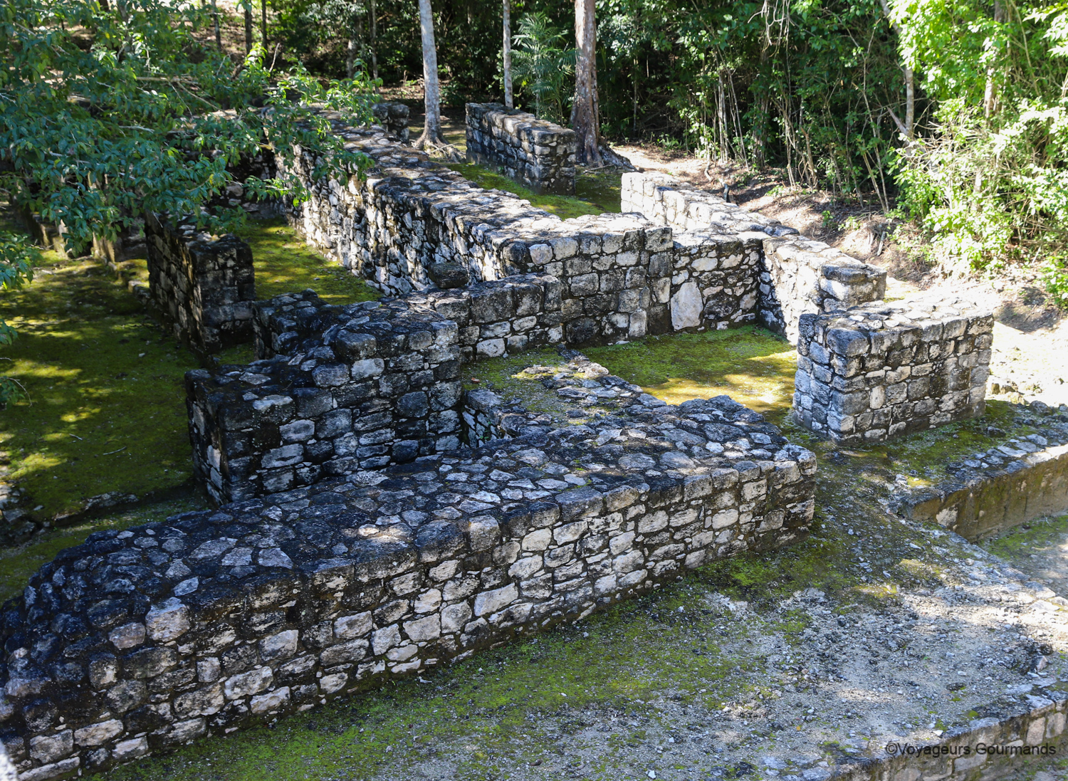 visiter calakmul 16