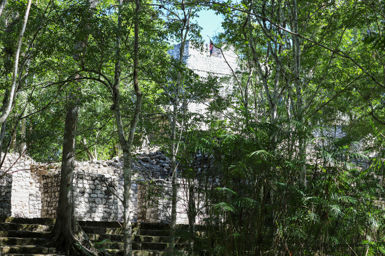 visiter calakmul 17