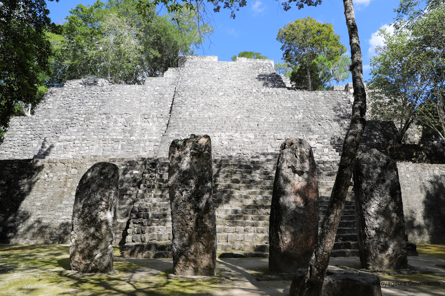 visiter calakmul 18