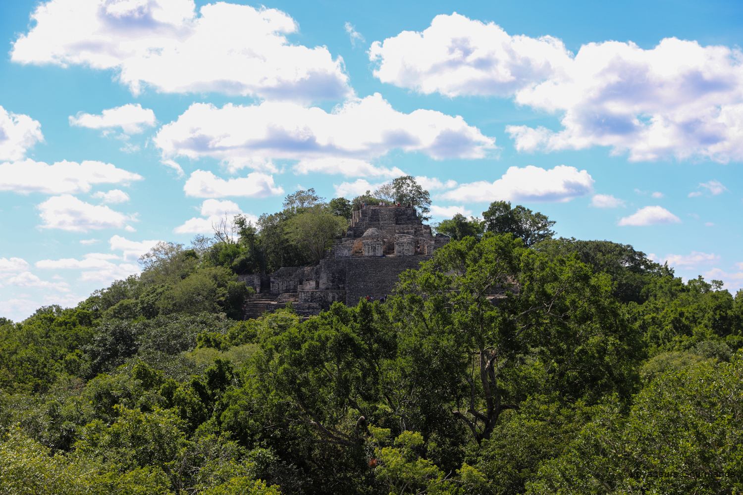visiter calakmul 19
