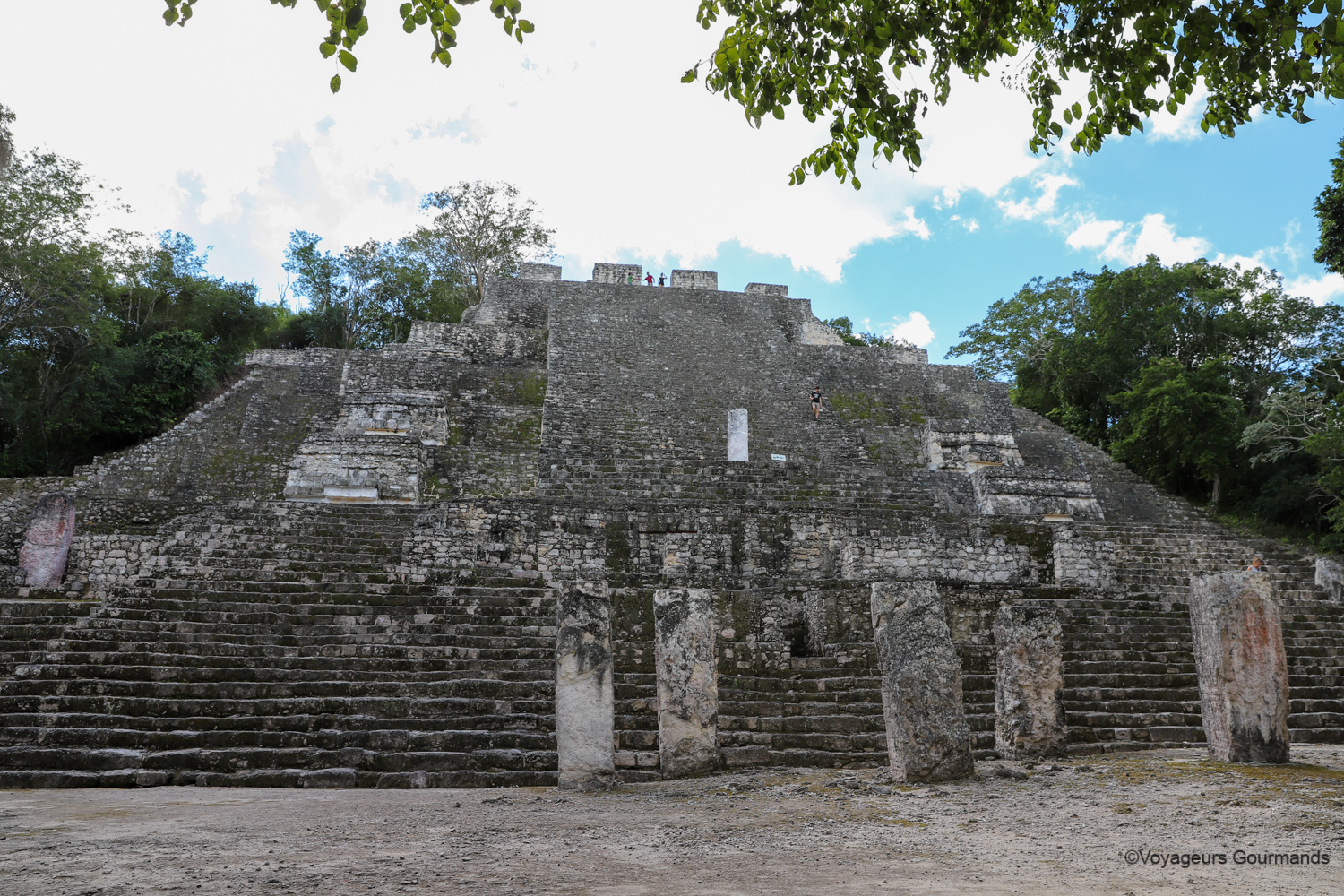 visiter calakmul 20