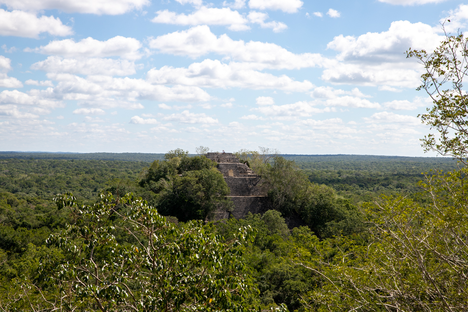 visiter calakmul 22