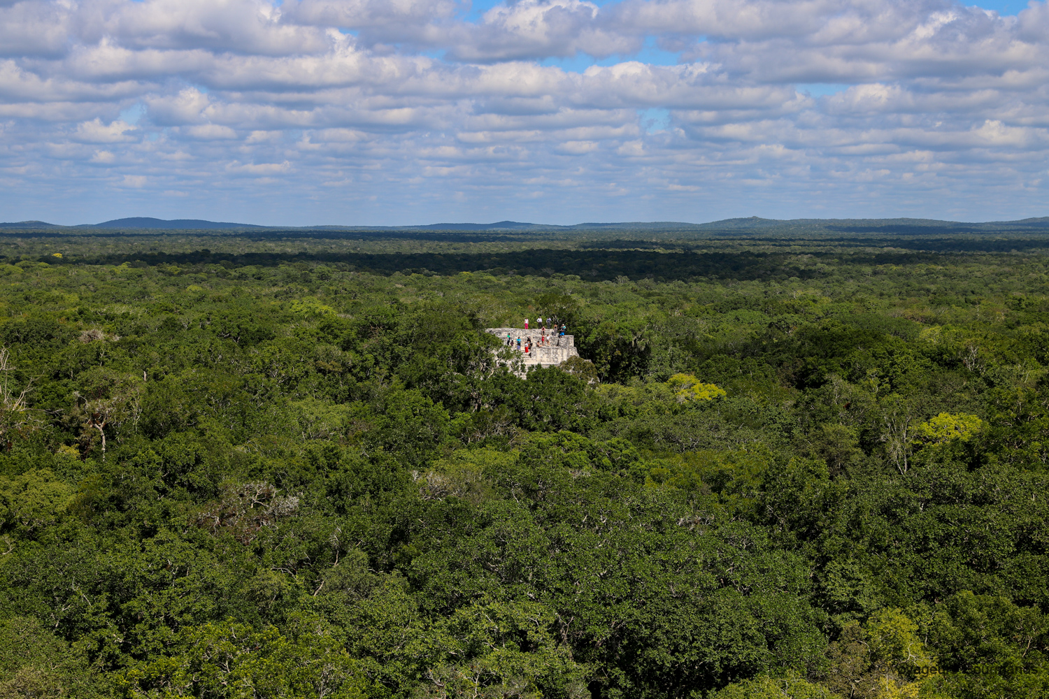 visiter calakmul 7