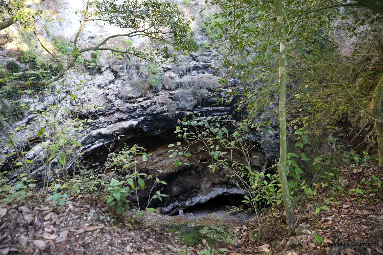 visiter calakmul chauves souris 2