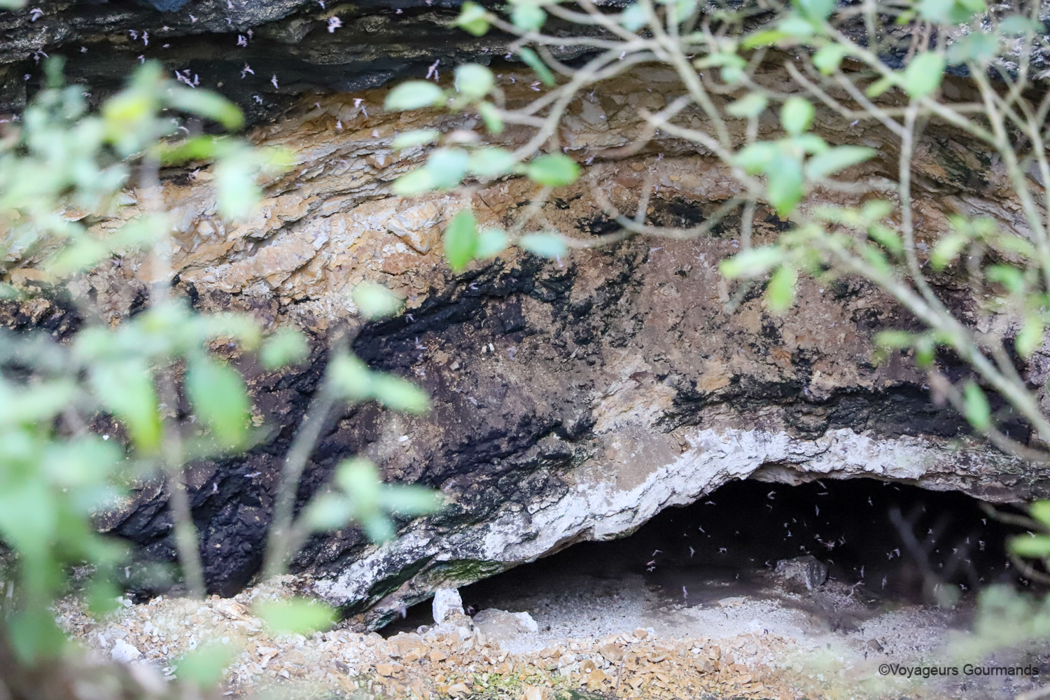 visiter calakmul chauves souris 3