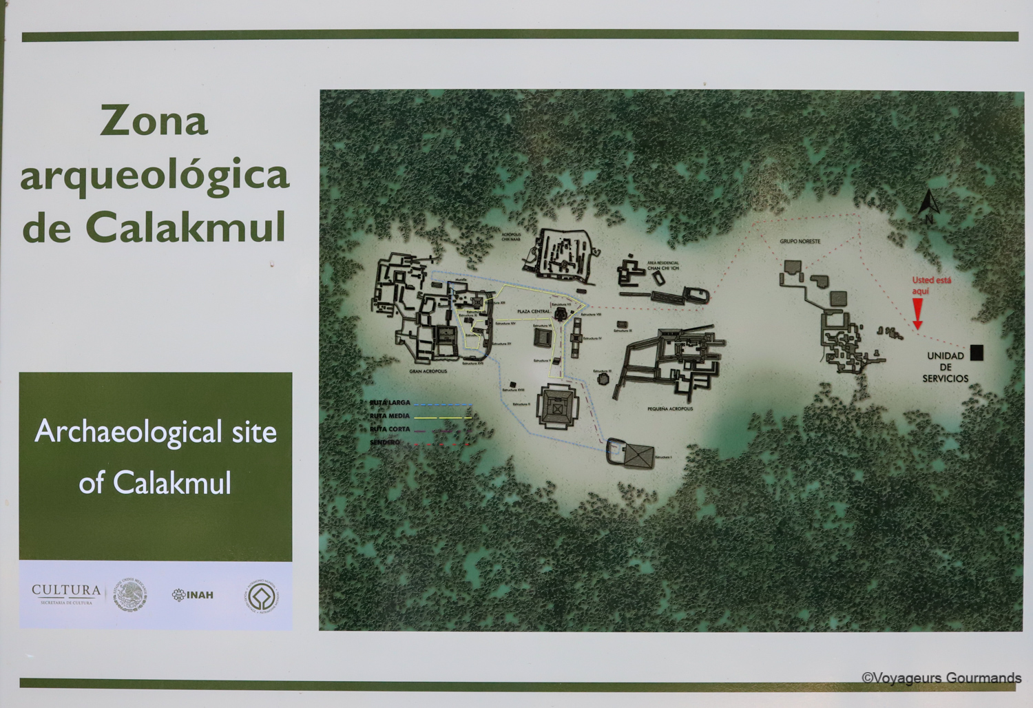 visiter calakmul plan