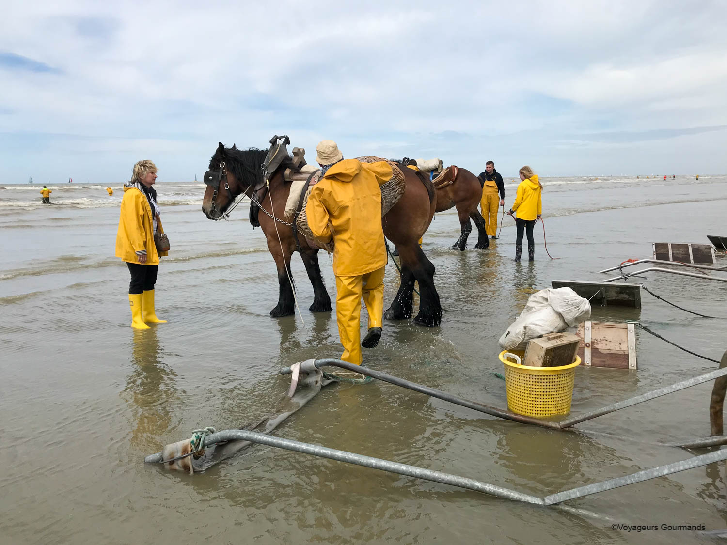 peche a cheval 2