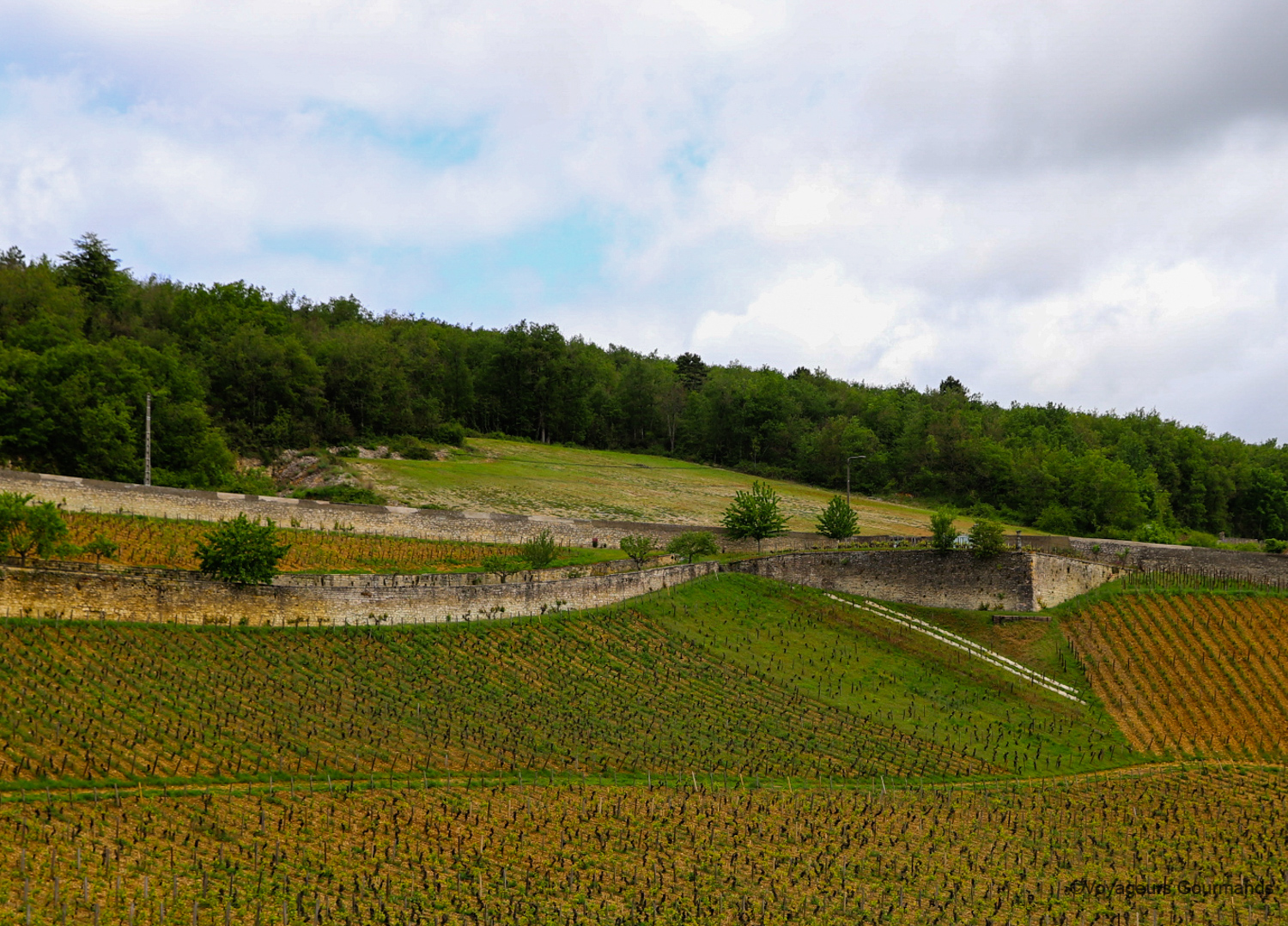 autour de beaune