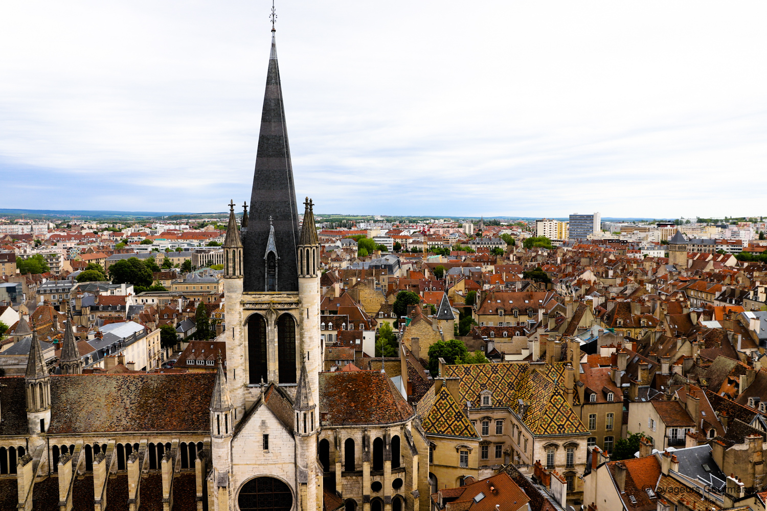 dijon