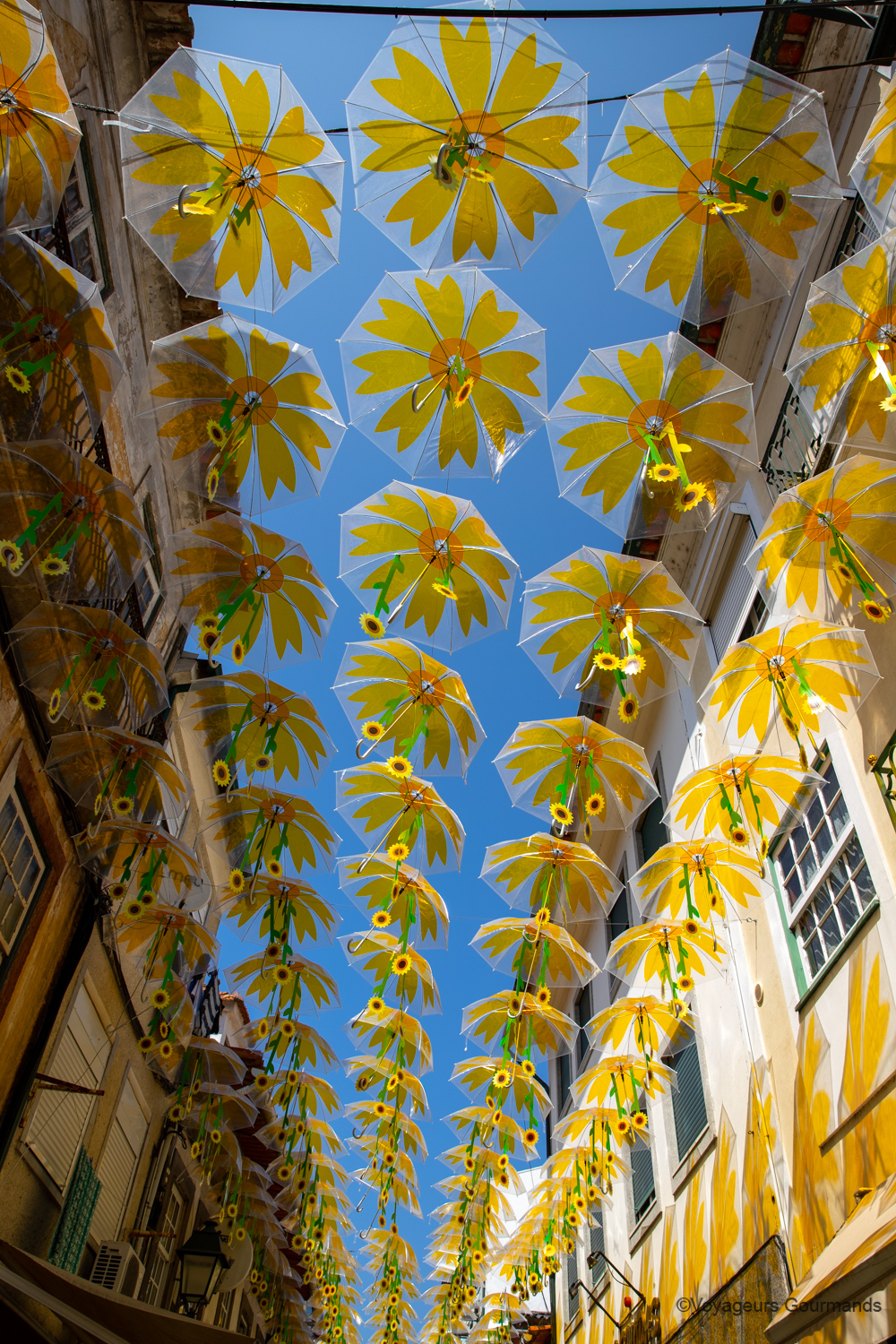 agueda 16