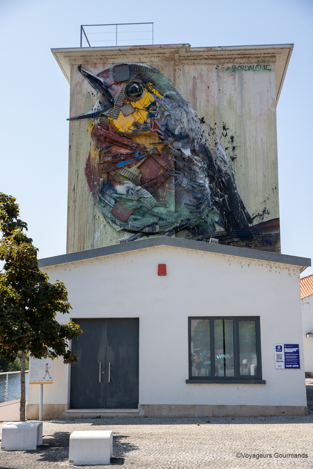 agueda 8