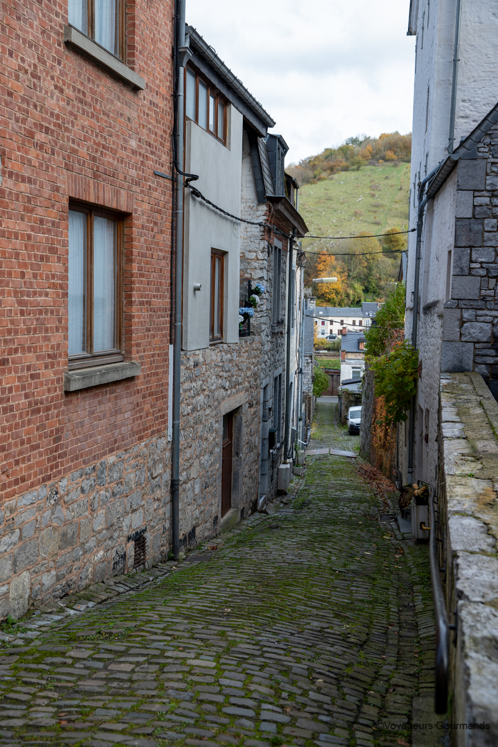 dinant 19