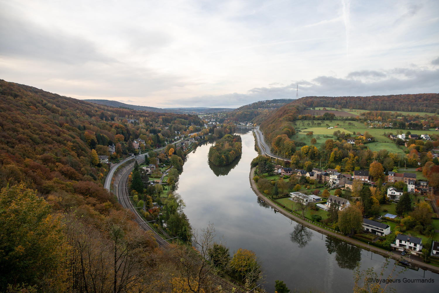 dinant 41