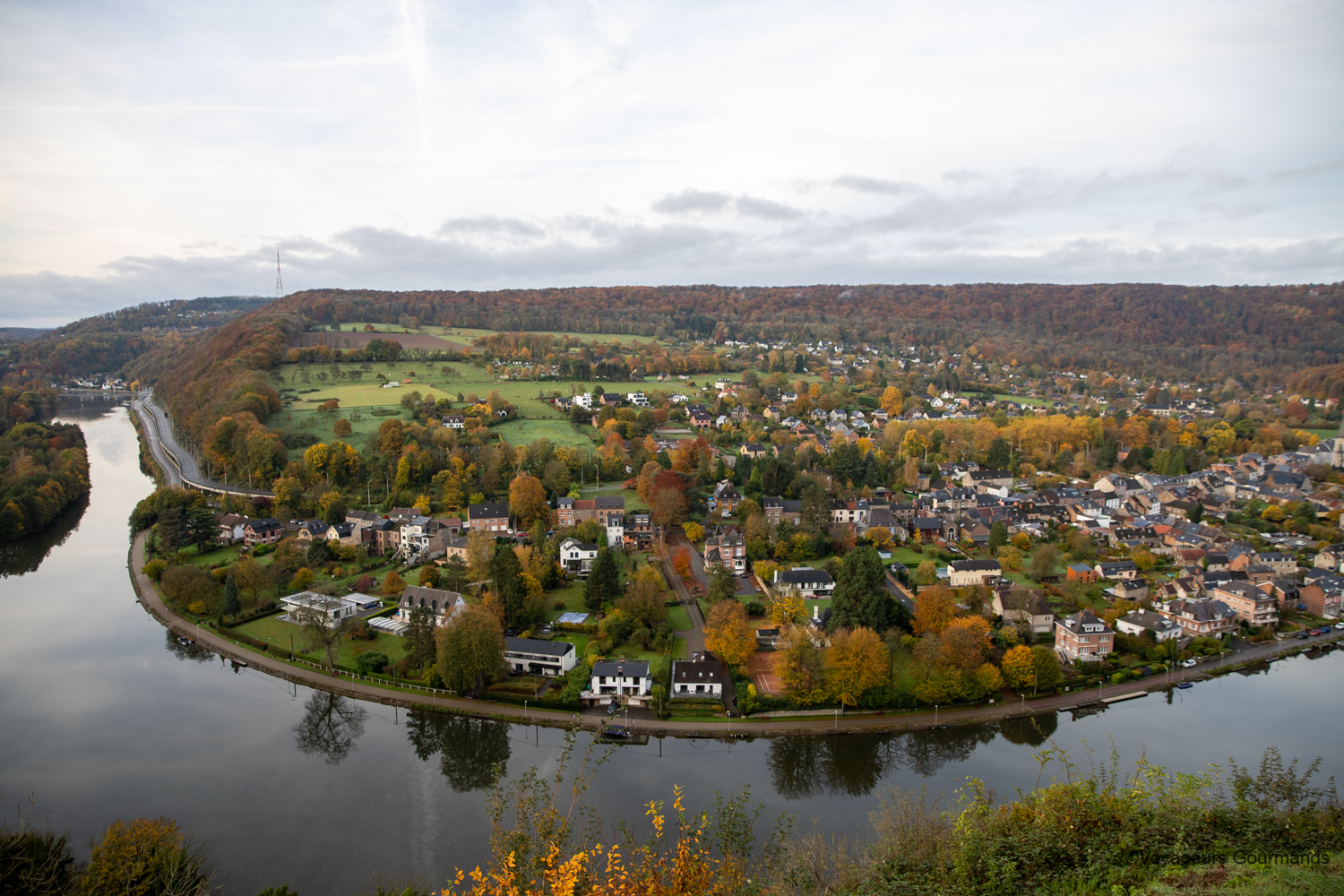 dinant 42