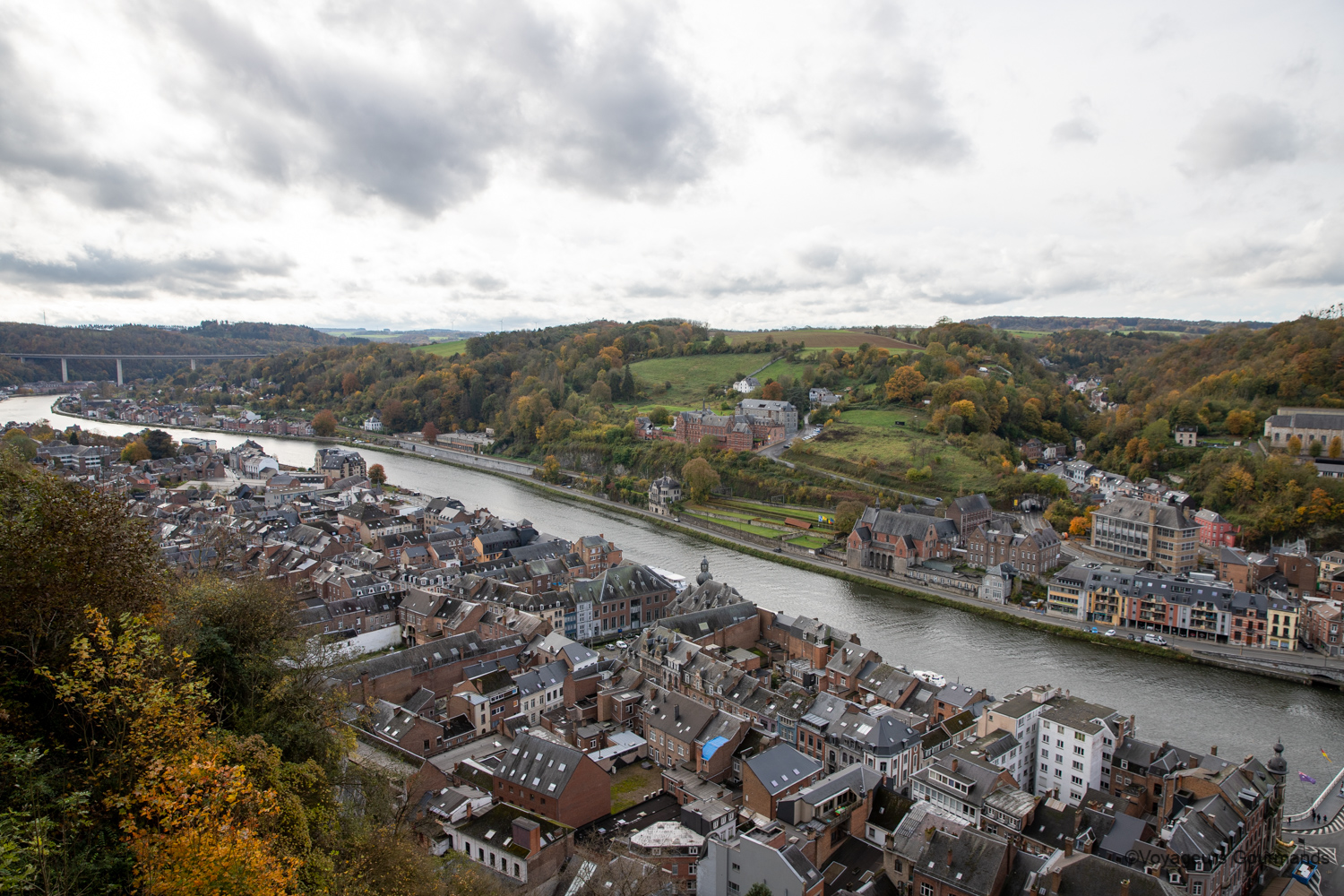 dinant 43