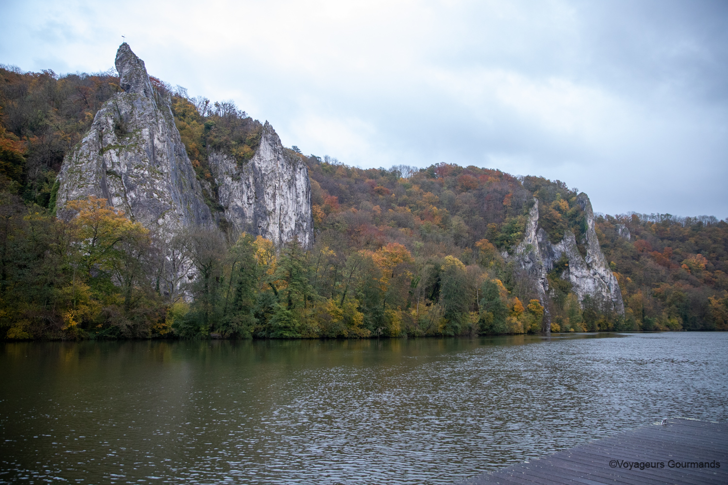 dinant 44