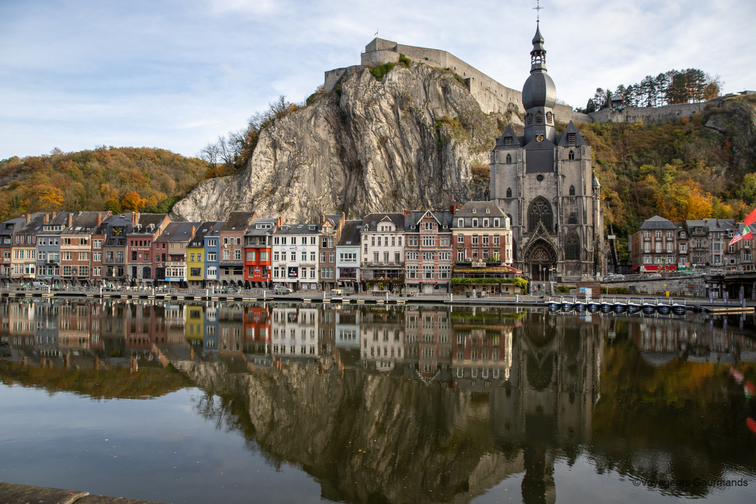 dinant 49