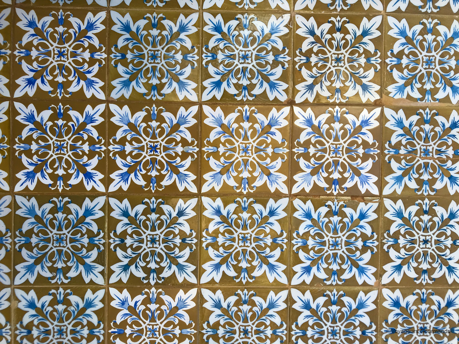 azulejos 11