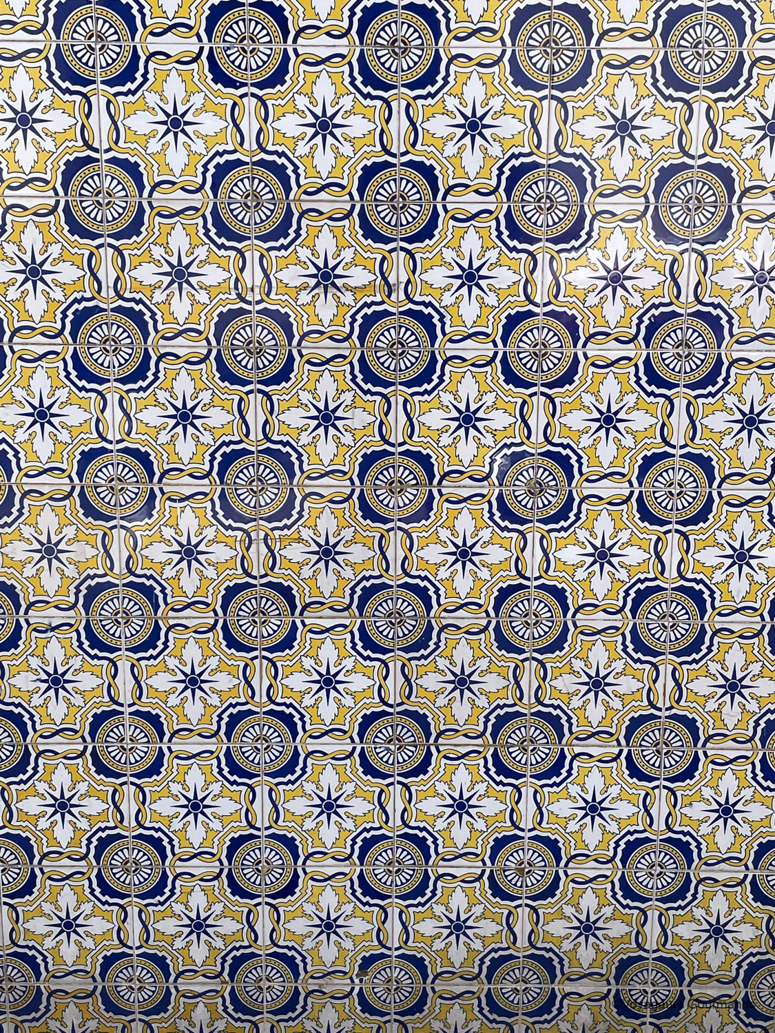 azulejos 14
