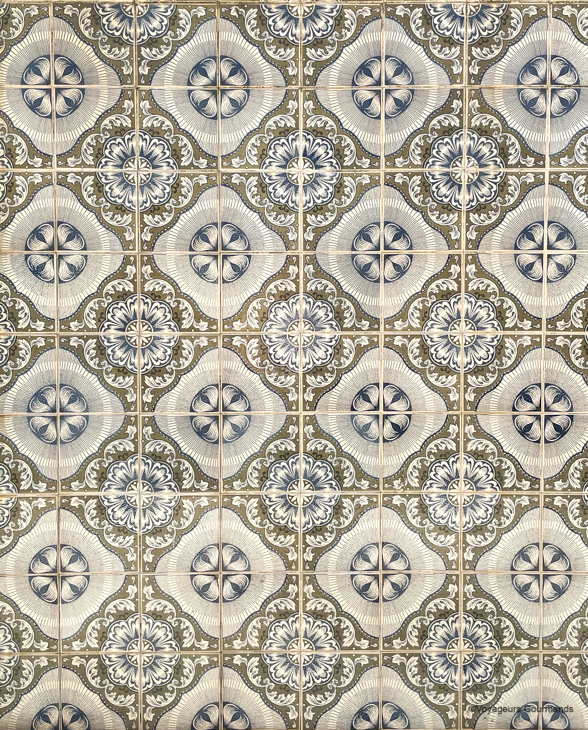 azulejos 6