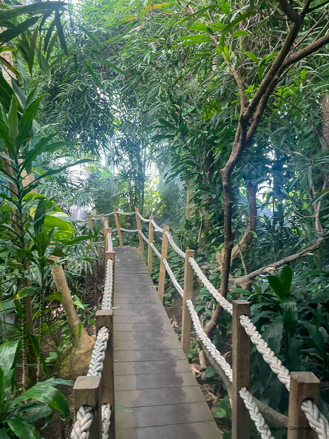 aquarium de lisbonne