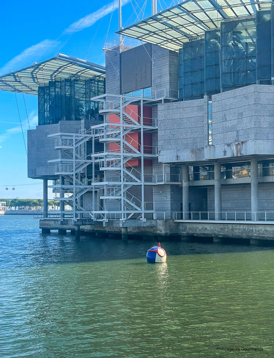 aquarium de lisbonne