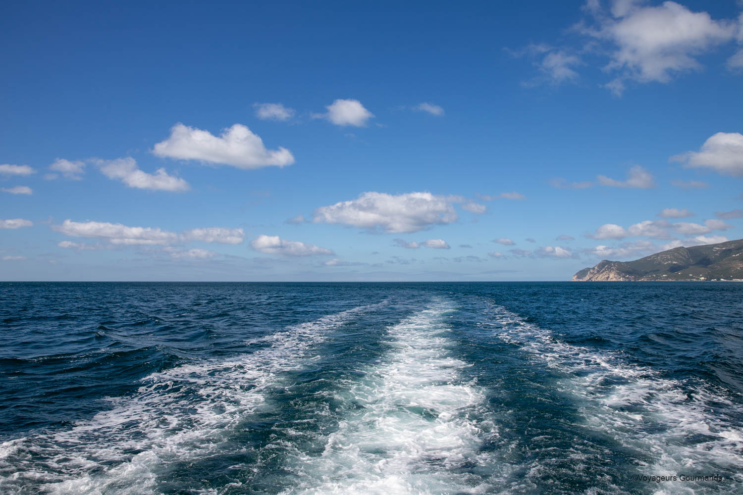 dauphins a setubal 1