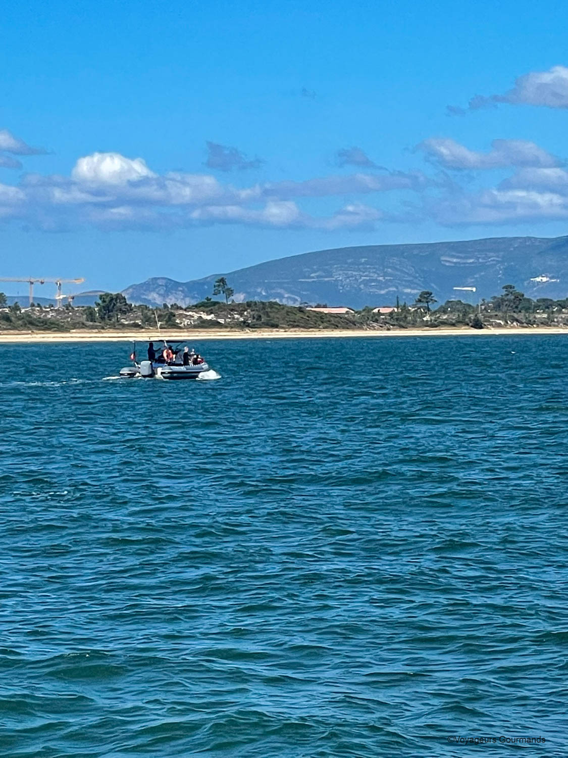 dauphins a setubal 3