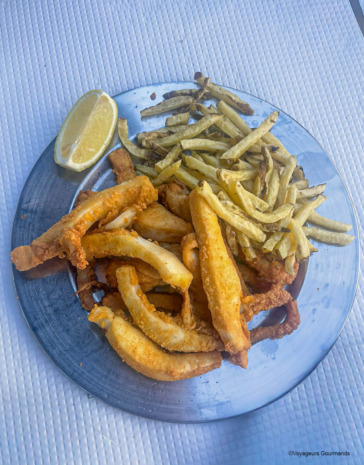 dauphins setubal chocos