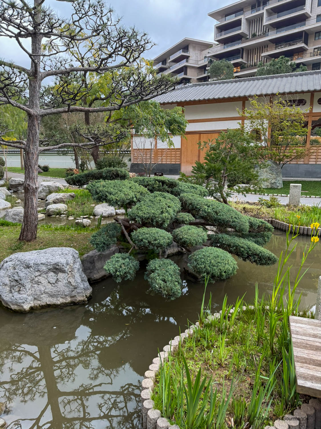jardin japonais de monaco